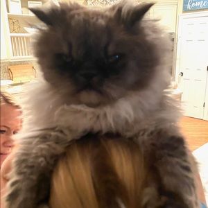 Meet your Posher, Chloe